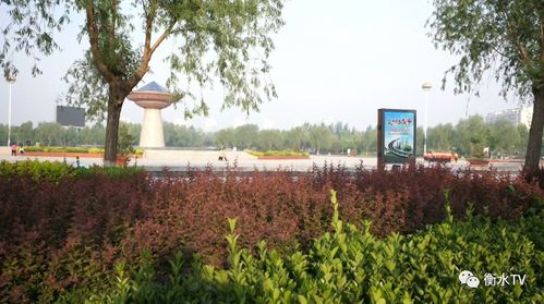 阜城縣穩步推進五大綠化工程，繪就生態新畫卷