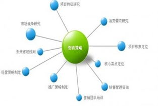 營銷策劃機(jī)構(gòu)的服務(wù)內(nèi)容與市場營銷策劃