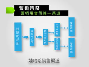 娃哈哈 激活 2013 2016年度市場營銷策劃方案