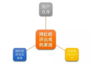 網(wǎng)紅農(nóng)產(chǎn)品品牌運(yùn)營(yíng)發(fā)展報(bào)告（中篇） 網(wǎng)紅為什么這樣紅——營(yíng)銷(xiāo)企劃與市場(chǎng)引爆之道